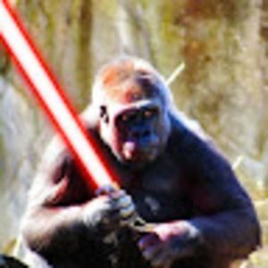 Meet your Posher, Henry